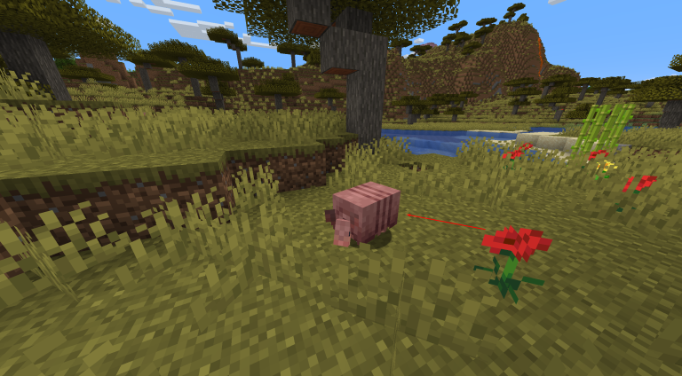 Armadillos de Minecraft